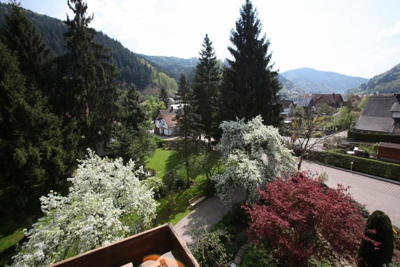 Hotel Garni Café Schacher Oberwolfach Extérieur photo